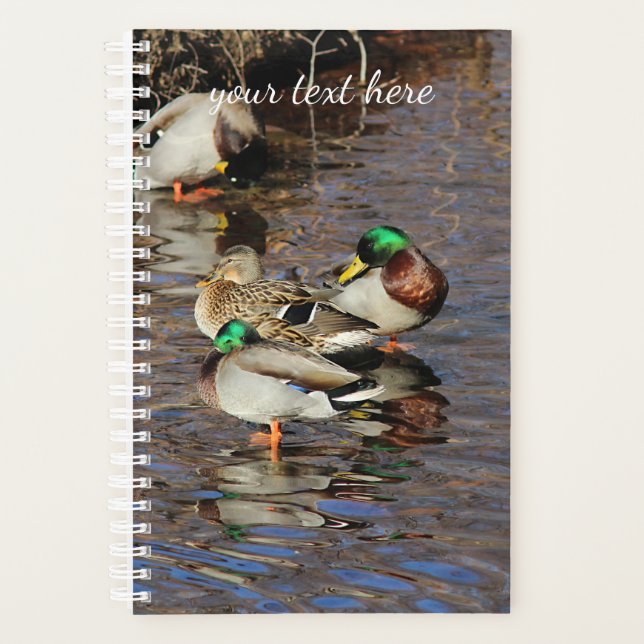 Agenda Mallard Ducks (Frente)