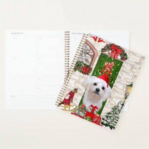 Agenda Maltês - Natal
