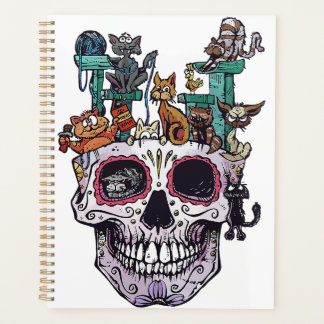 Agenda Mamãe No Fazer Rainbow Pregnancy Reveal Baby M