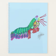 MANTIS SHRIMP