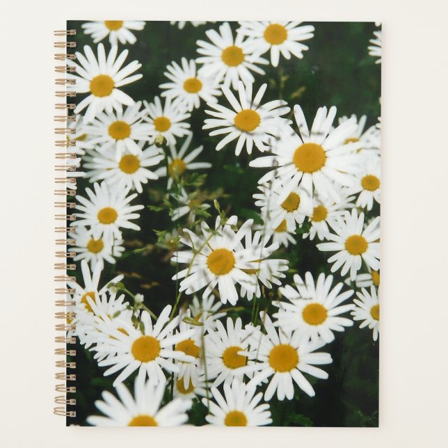 Agenda Margarida Branca de Oxeye, Moon Daisy Meadow (Frente)
