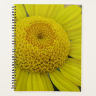 Agenda Marguerite amarela bonito