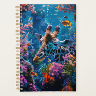Agenda Marinha