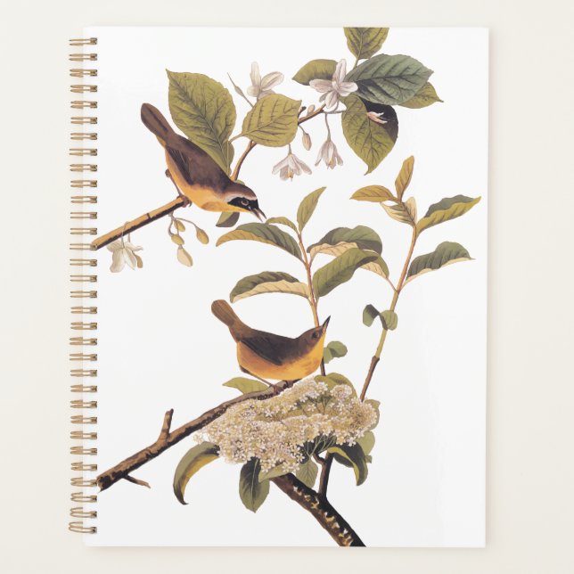 Agenda Maryland Yellowthroat Audubon Birds em Olive Tree (Frente)