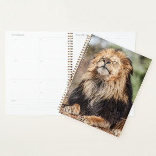 Agenda Masculino Lion Sunbelt