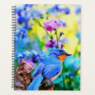 Agenda Meadow Melody