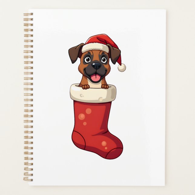 Agenda Meia de Natal de Boxer (Frente)