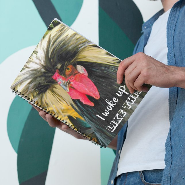 Agenda Memória Fotográfica Engraçado Engraçado (In Situ)