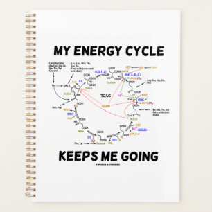 Agenda Meu Ciclo de Energia Me Mantém A Ir Para Os Krebs
