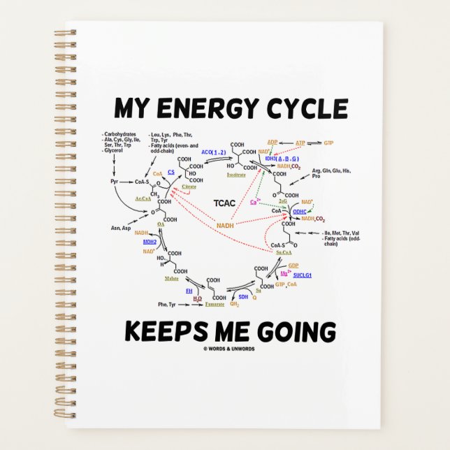 Agenda Meu Ciclo de Energia Me Mantém A Ir Para Os Krebs  (Frente)