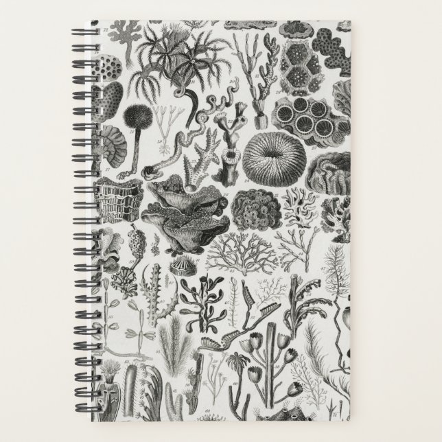 Agenda Minerais Geológicos Fósseis Poli (Frente)