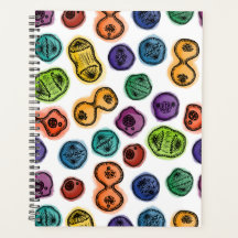 Mitose - Cor em branco