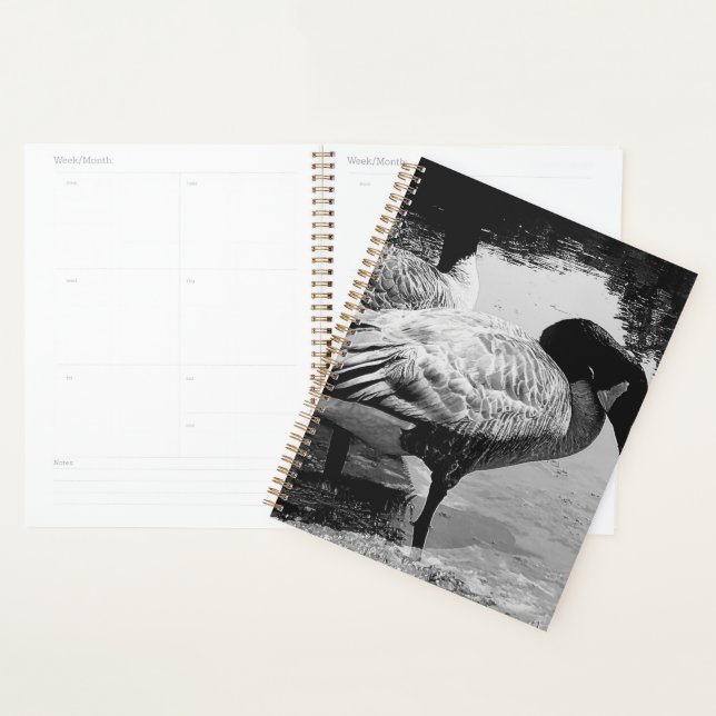 Agenda Momento Silencioso em Preto e Branco perto do Lago (Exibição)