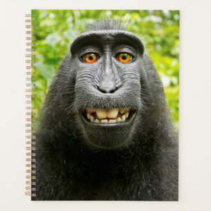 Agenda Monkey Selfie