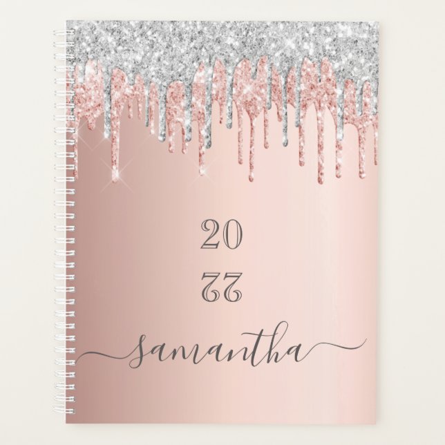 Agenda monograma prateado cor-de-rosa com rosa dourado 20 (Frente)