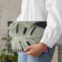 Monstera Leaf Floral Variado