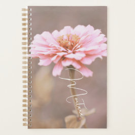 Agenda Montana Pink Wildflower