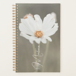 Agenda Montana White Wildflower