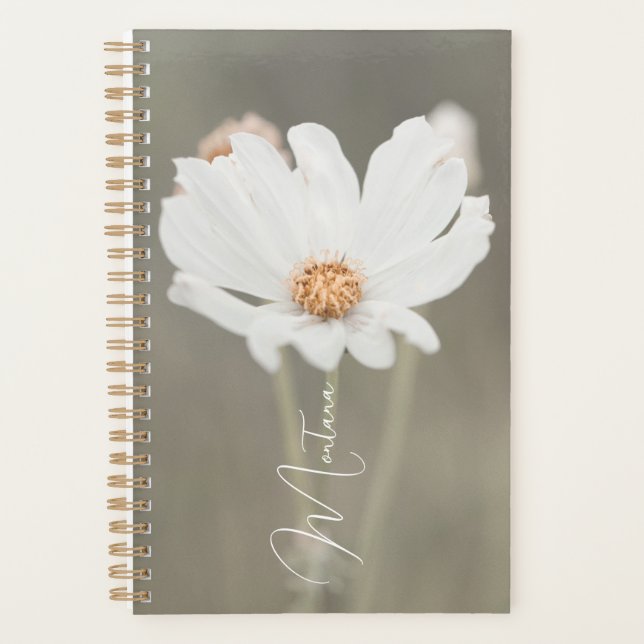 Agenda Montana White Wildflower (Frente)