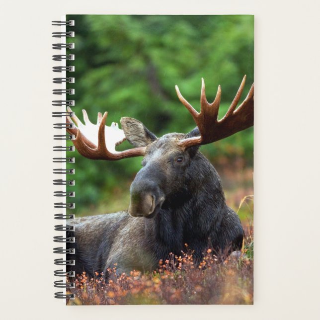 Agenda Moose (Frente)