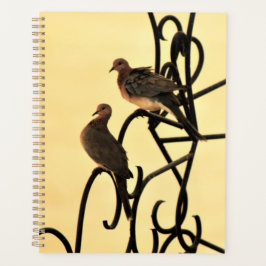Agenda Morning Doves