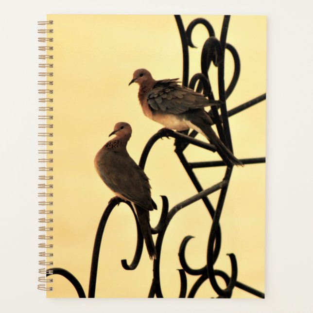 Agenda Morning Doves (Frente)