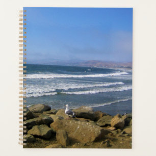 Agenda Morro Bay, Califórnia