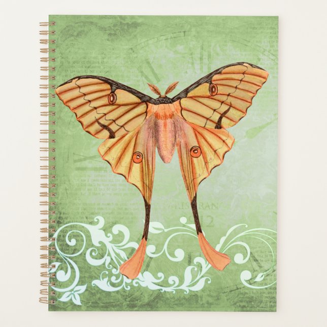 Agenda Moth da Seda Africana (Frente)