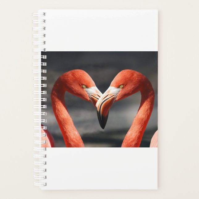 Agenda Namorados Flamingo (Frente)