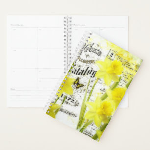 Agenda Narcisos antigos
