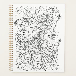 Agenda Native Florida Garden