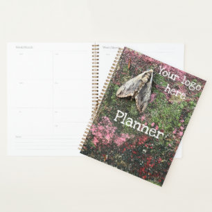 Agenda Natureza Inspirou a Mama