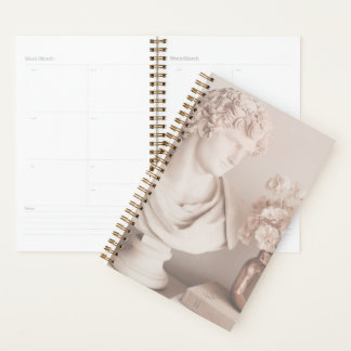 Agenda NC Aesthetic Planner