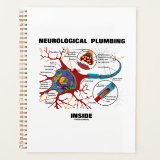 Agenda Neurologia Canalização Dentro Neuron Synapse Humor
