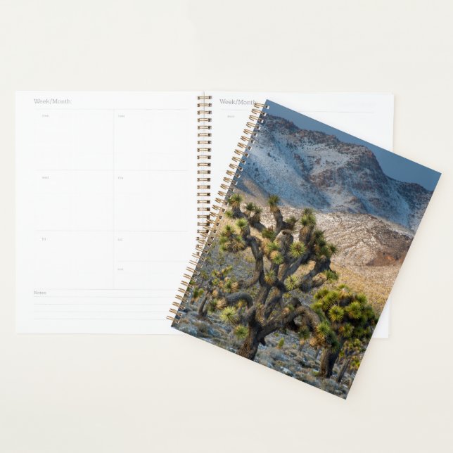 Agenda Neve No Vale Da Morte (Exibição)