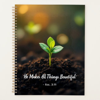 Agenda New Beginnings Growth - Seedling in Good S