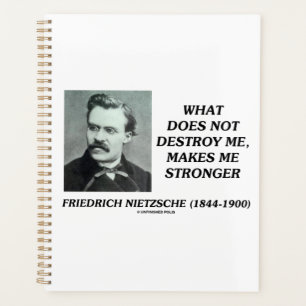 Agenda Nietzsche O Que Não Destrui Me Torna Mais Forte