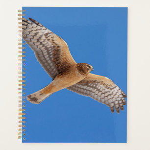 Agenda norte Harrier Hawk 2022