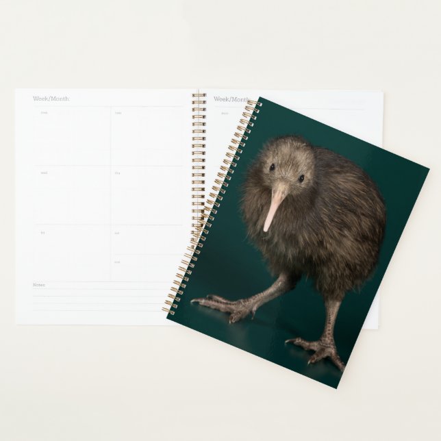 Agenda North Island Brown Kiwi (Exibição)