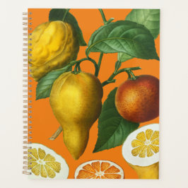 AGENDA NOTEBOOK DE FRUTA CITRUS