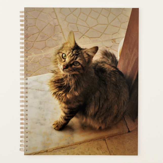 Agenda Notebook de Gatinho curioso (Frente)