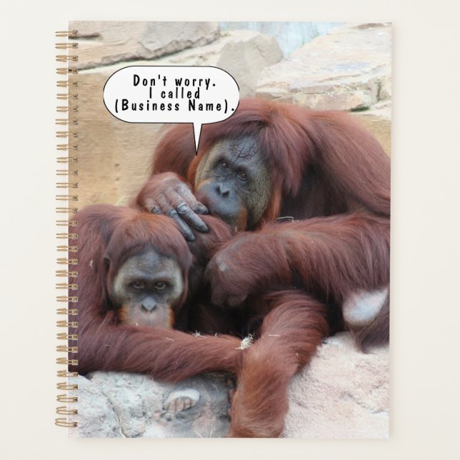 Agenda Notebook de tartarugas personalizável (Frente)