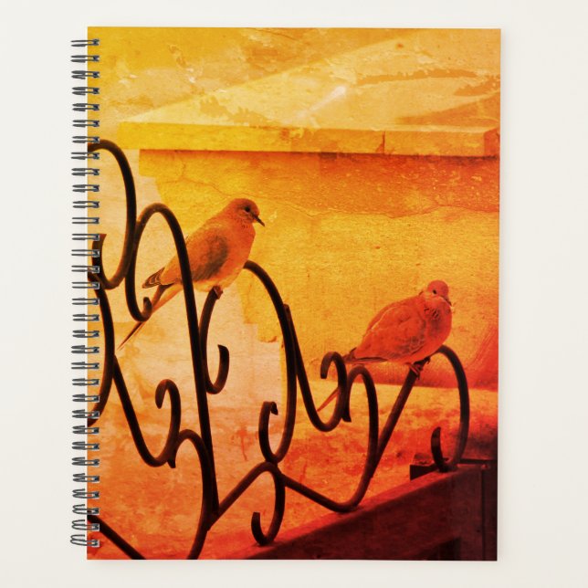 Agenda Notebook Little Dovs (Frente)