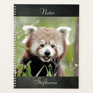 Agenda Notebook Photo red panda, animais 01. notebook