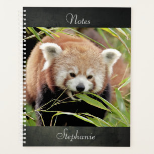 Agenda notebook Photo Red Panda, animais 02. notebook