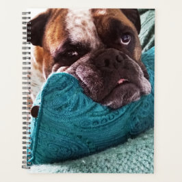 Agenda Notebook Vitoriano Bulldog Foto 8x11