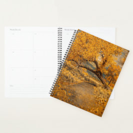 Agenda O Caminho Dourado Inspirado em Klimt