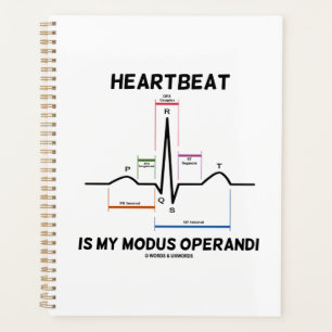 Agenda O Pulso É O Meu Eletrocardiograma De Funcionamento