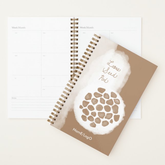 Agenda objet_11_lotus semente pod (Exibição)