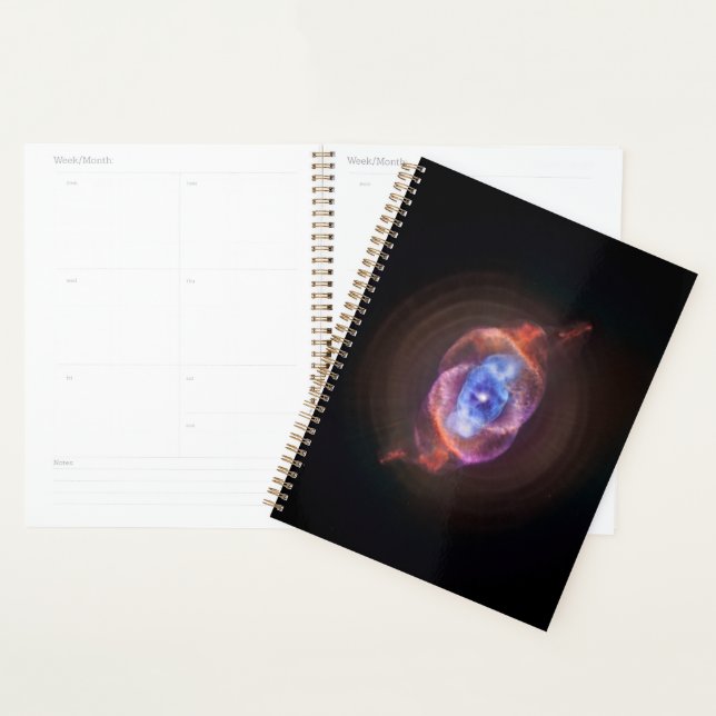 Agenda Olho de Gato (Exibição)